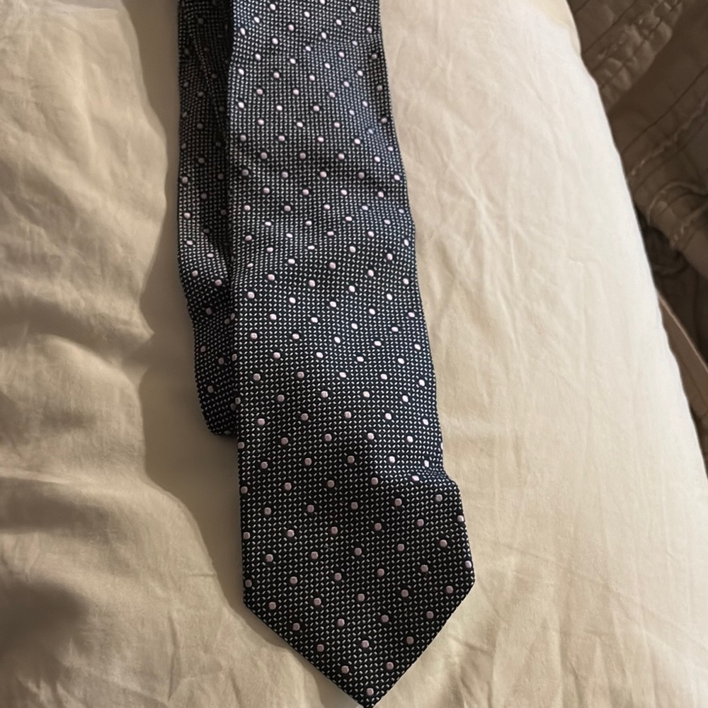 Ermenegildo Zegna Black and Purple Tie Accessories